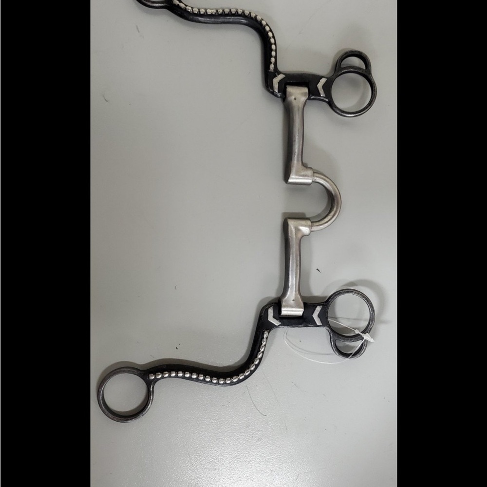 Black and Silver Horse Bit